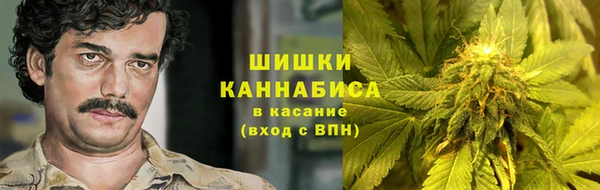 молекула духа Алзамай