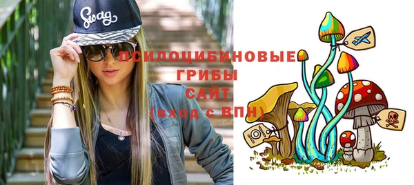молекула духа Алзамай