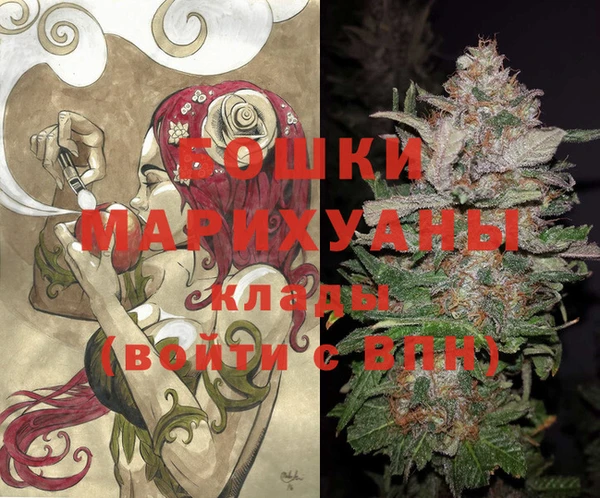молекула духа Алзамай